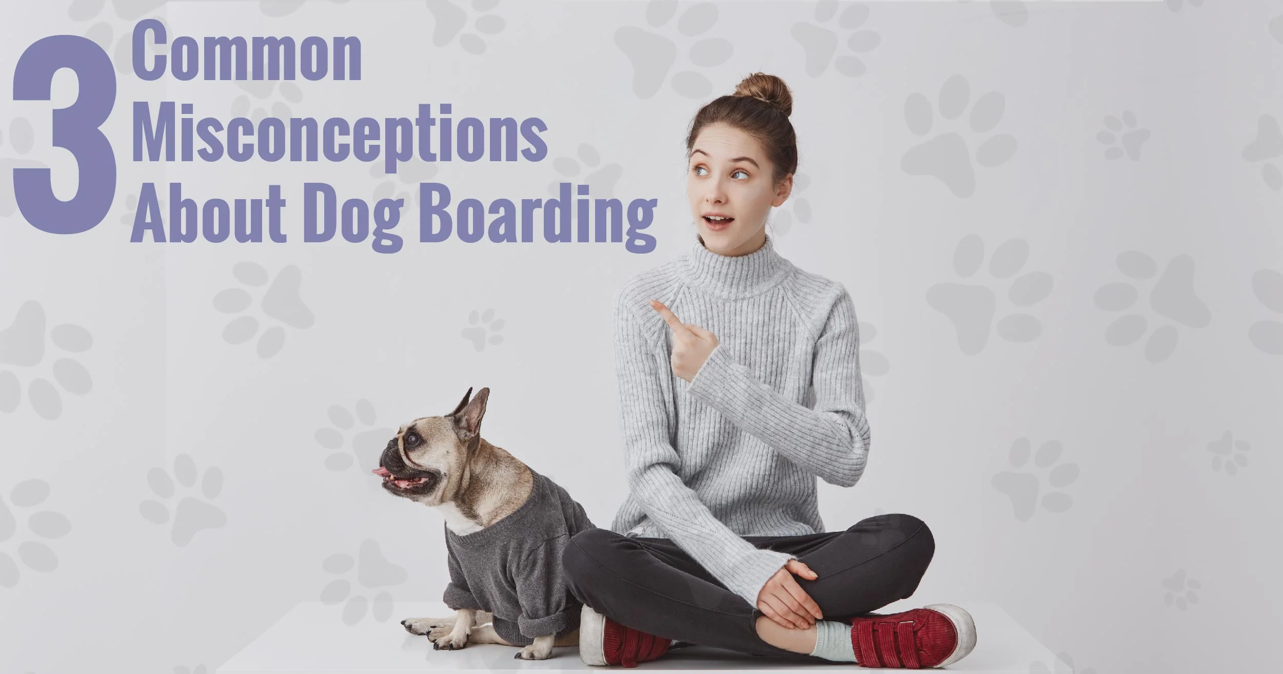 3 Common Misconceptions About Dog Boarding