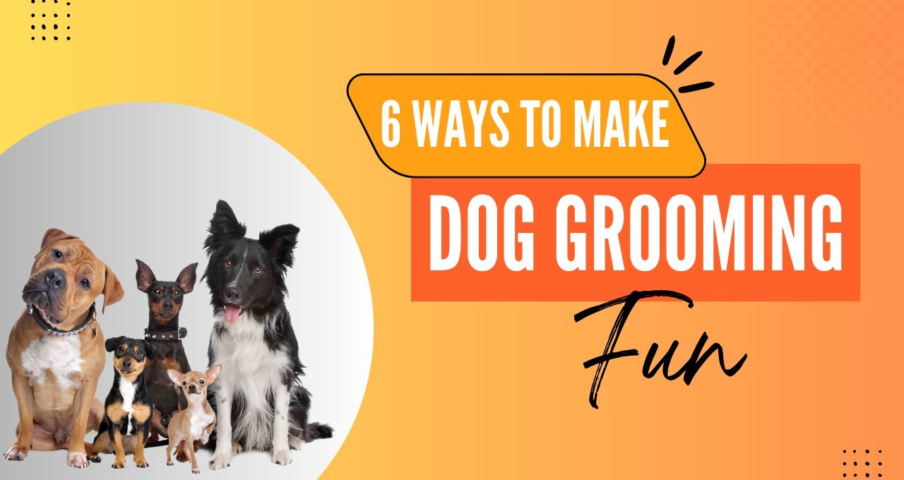 6 Ways to Make Dog Grooming Fun