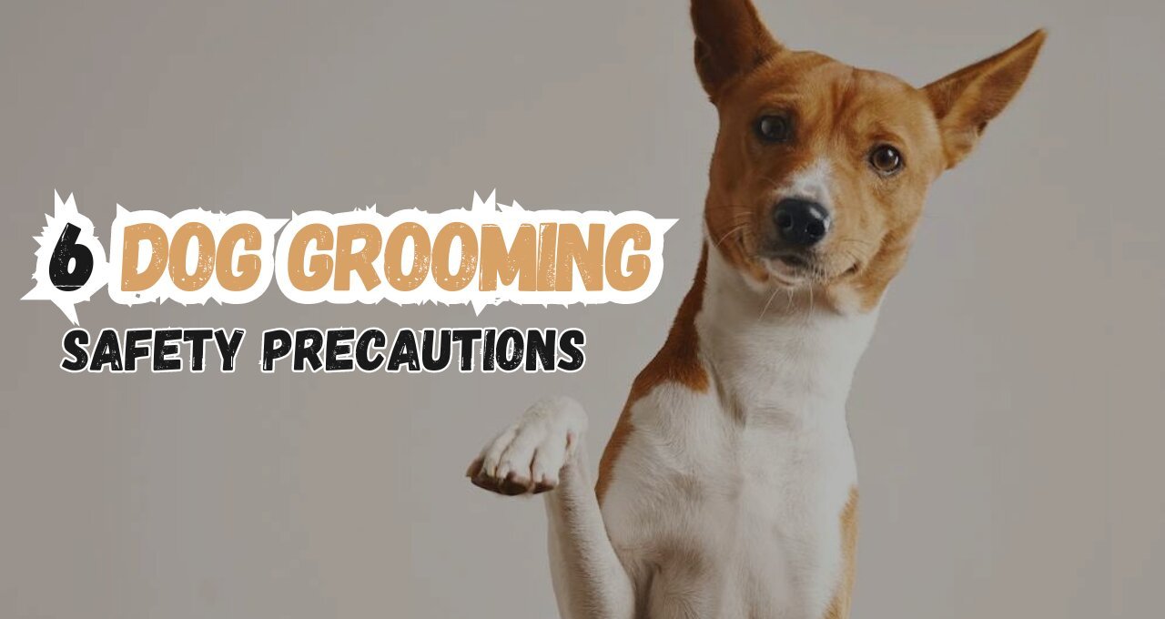 6 Dog Grooming Safety Precautions